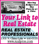 Real Estate Professionals