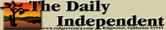 Daily Independent Website